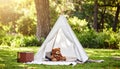 Teepee, tent and fun in garden in nature outdoor at park for playing, camp and imagin Royalty Free Stock Photo