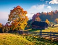 Foggy autumn scene of mountain willage with old wooden house in garden. Calm morning Royalty Free Stock Photo