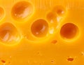 Swiss Cheese Close Up Royalty Free Stock Photo