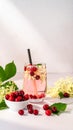Help me with the image of a fizzy elderflower and cranberry drink. Add some simple Royalty Free Stock Photo