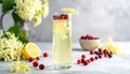 Help me with the image of a fizzy elderflower and cranberry drink. Add some simple Royalty Free Stock Photo
