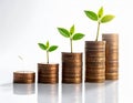 Sustainable Investment Growth With Rising Coin Columns And Eco Seedlings Royalty Free Stock Photo