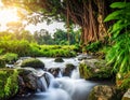 A serene stream flows over moss-covered rocks, bordered by lush green grass Royalty Free Stock Photo