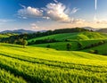 Rolling hills with lush green fields and scattered trees extend toward distant mountains Royalty Free Stock Photo