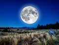 A large, bright full moon dominates the night sky over a grassy landscape Royalty Free Stock Photo
