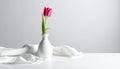 Tulip flower in small ceramic vase with linen cloth on white background Royalty Free Stock Photo