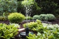 Automatic watering on a green lawn. Close-up. Irrigation system in the home garden. Automatic watering of a green lawn