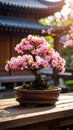 Beautiful bonsai tree with pink blossoms in a traditional Japanese garden setting, springtime Royalty Free Stock Photo