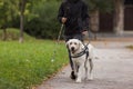 Blind woman walking in city park with a guide dog assistance Royalty Free Stock Photo