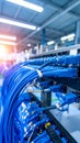 Blue network cables connected to server rack in a data center Royalty Free Stock Photo