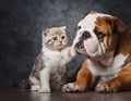 Generated image. A cat, kitten, plays with a dog in an adorable cute ai generated image Royalty Free Stock Photo