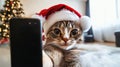 Cat in santa hat taking selfie against bright room background. Royalty Free Stock Photo