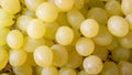Close-Up of Fresh Green Yellow Grapes Background Royalty Free Stock Photo
