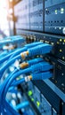 Close-up of network server rack with blue ethernet cables connected, data center. Royalty Free Stock Photo