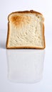 Close up of a single slice of toasted bread with reflection on a white surface Royalty Free Stock Photo
