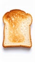 Close up of a single slice of toasted bread on a white background Royalty Free Stock Photo