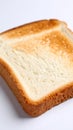 Close up of a single slice of toasted bread on white background Royalty Free Stock Photo
