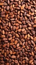 Close-up view of roasted cocoa beans, food background, texture detail Royalty Free Stock Photo