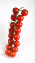 Cluster of Bright Red Cherry Tomatoes on the Vine on White Royalty Free Stock Photo