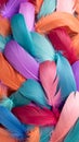 Colorful feathers background close up vibrant texture abstract pattern design Royalty Free Stock Photo