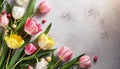 Colorful tulip flowers bouquet on grey background. Floral composition with beautiful fresh tulips
