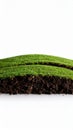Cross section of a grassy hill with soil isolated on white background Royalty Free Stock Photo