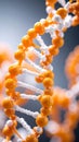 Detailed close-up of a DNA double helix model against a gradient background Royalty Free Stock Photo