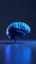 Digital human brain model glowing blue light on dark reflective background symbolizing intelligence and innovation Royalty Free Stock Photo