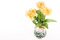 Double soft yellow tulips in a vase on a white background. Spring tulips bouquet isolated. Royalty Free Stock Photo