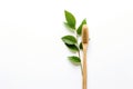 Ecological bamboo toothbrush and fresh green leaves