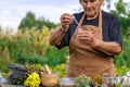 An elderly woman holds a herbal extract in her hands. Selective focus. Royalty Free Stock Photo