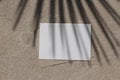 Empty horizontal greeting card invitation mockup, craft envelope. Beige limestone background in sunlight. Palm leaf Royalty Free Stock Photo