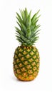 Fresh pineapple fruit isolated on white background healthy food Royalty Free Stock Photo