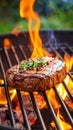 Grilled steak with rosemary and peppercorns on a barbecue grill with flames Royalty Free Stock Photo