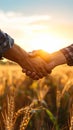 Handshake in Wheat Field with Sunset Light Farmers Agreement Harvest Concept Royalty Free Stock Photo