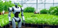 Banner showing a high-tech robot designed to perform agricultural tasks tending a garden bed in a greenhouse with space Royalty Free Stock Photo