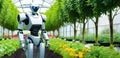 Banner showing a high-tech robot designed to perform agricultural tasks tending a garden bed in a greenhouse with space Royalty Free Stock Photo