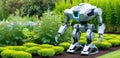 Banner showing a high-tech robot designed to perform agricultural tasks tending a garden bed in a greenhouse with space Royalty Free Stock Photo