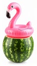 Inflatable flamingo pool float atop a watermelon on white background Royalty Free Stock Photo