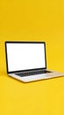 Modern laptop computer with blank white screen on a vibrant yellow background offering ample copy space Royalty Free Stock Photo