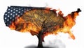 Nation fire tree destruction hope Symbolizing environmental crisis political unrest and the future of a nation Royalty Free Stock Photo