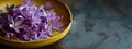 Saffron Autumn Crocus violet Flowers in Yellow Bowl. Harvest Saffron Flowers and Make most expensive Saffron Spice Royalty Free Stock Photo