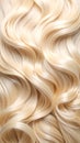 Shiny Blonde Wavy Hair Beauty Texture and Style Royalty Free Stock Photo