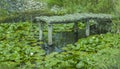 Water lilies in a pond surround an old wooden dock made of logs. Old rock wall is in the background. Royalty Free Stock Photo