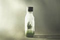 surreal tree in a meadow that lives inside a glass bottle, concept of environmental protection Royalty Free Stock Photo