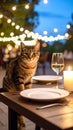 Tabby Cat at Dinner Table With Wine and Candle at Night Royalty Free Stock Photo