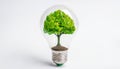 tree growing inside a light bulb. Concept of green energy and energy-saving light bulbs Royalty Free Stock Photo