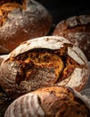 a Rustic artisan sourdough bread loaves with a crispy crust and flour dusting, showcased on a dark surface. Royalty Free Stock Photo
