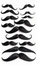 Variety of fake black mustaches in different styles arranged on a clean white background Royalty Free Stock Photo