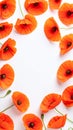 Vibrant Orange Poppy Flowers Frame White Background for Text or Design Royalty Free Stock Photo